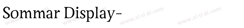 Sommar Display字体转换